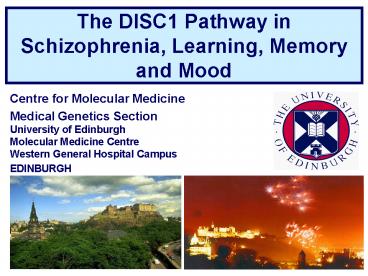 Centre for Molecular Medicine