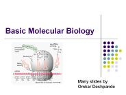Basic%20Molecular%20Biology