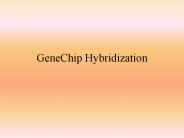 GeneChip Hybridization