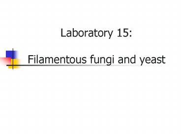 Laboratory 15: Filamentous fungi and yeast
