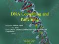 DNA Computing and Patterning PowerPoint PPT Presentation
