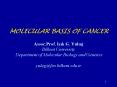 MOLECULAR BASIS OF CANCER Assoc.Prof. Isik G. Yulug Bilkent University Department of Molecular Biology and Genetics  yulug@fen.bilkent.edu.tr PowerPoint PPT Presentation