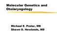 Molecular Genetics and Otolaryngology PowerPoint PPT Presentation