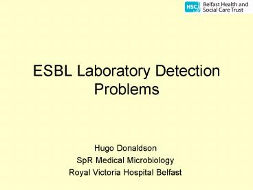 presentation player overlay