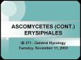 ASCOMYCETES (CONT.) ERYSIPHALES PowerPoint PPT Presentation