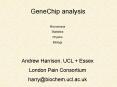 GeneChip analysis PowerPoint PPT Presentation