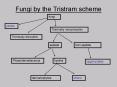 Fungi by the Tristram scheme PowerPoint PPT Presentation