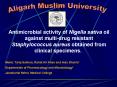 Antimicrobial activity of Nigella sativa oil against multi-drug resistant Staphylococcus aureus obtained from clinical specimens.  PowerPoint PPT Presentation