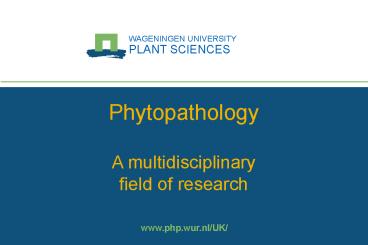 Huisstijltemplate voor beamerpresentaties