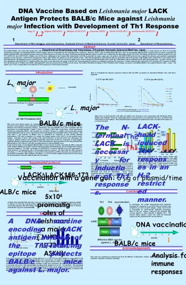 DNA%20Vaccine%20Based%20on%20Leishmania%20major%20LACK%20Antigen%20Protects%20BALB/c%20Mice%20against%20Leishmania%20major%20Infection%20with%20Development%20of%20Th1%20Response