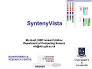 SyntenyVista