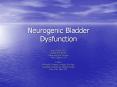 Neurogenic Bladder Dysfunction PowerPoint PPT Presentation