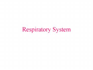 Respiratory System