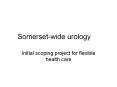 Somerset-wide urology PowerPoint PPT Presentation