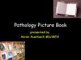 Pathology Picture Book PowerPoint PPT Presentation