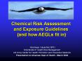 Chemical Risk Assessment and Exposure Guidelines (and how AEGLs fit in) PowerPoint PPT Presentation