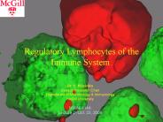 Regulatory Lymphocytes of the Immune System'