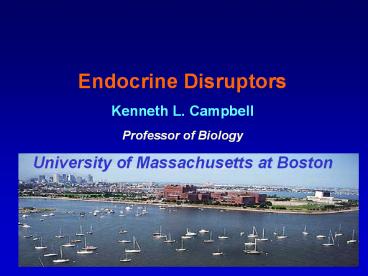 What is an Endocrine Distruptor?