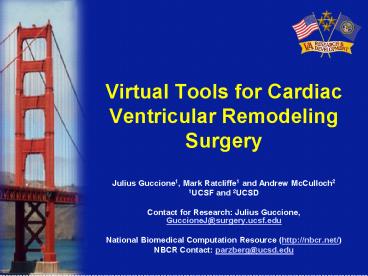Virtual Tools for Cardiac Ventricular Remodeling Surgery