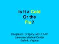 Is It a Cold Or the Flu Douglas B' Gregory, MD, FAAP Lakeview Medical Center Suffolk, Virginia PowerPoint PPT Presentation