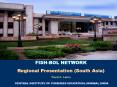 FISHBOL NETWORK PowerPoint PPT Presentation
