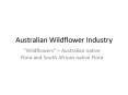Australian Wildflower Industry PowerPoint PPT Presentation