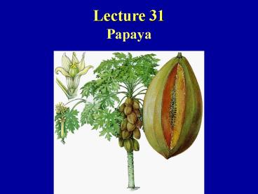 Lecture 31 Papaya