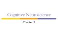 Cognitive Neuroscience PowerPoint PPT Presentation