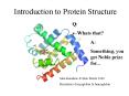 Introduction to Protein Structure PowerPoint PPT Presentation