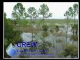 CREW PowerPoint PPT Presentation