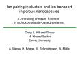 Ion pairing in clusters and ion transport in porous nanocapsules PowerPoint PPT Presentation