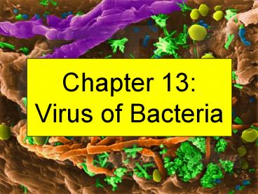 Chapter 13: Virus of Bacteria