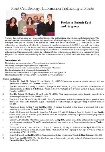 Plant%20Cell%20Biology:%20Information%20Trafficking%20in%20Plants