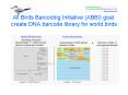 All Birds Barcoding Initiative ABBI goal: create DNA barcode library for world birds PowerPoint PPT Presentation