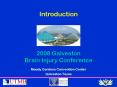 2008 Galveston Brain Injury Conference PowerPoint PPT Presentation