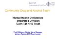 Community Drug and Alcohol Team PowerPoint PPT Presentation