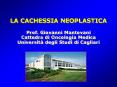 LA CACHESSIA NEOPLASTICA PowerPoint PPT Presentation