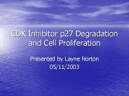 CDK Inhibitor p27 Degradation and Cell Proliferation