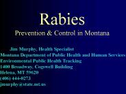 Rabies Prevention