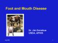 Foot and Mouth Disease PowerPoint PPT Presentation