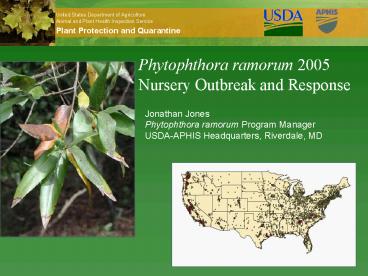 Phytophthora ramorum 2005 Nursery Outbreak and Response