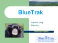 BlueTrak PowerPoint PPT Presentation