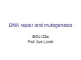 DNA repair and mutagenesis PowerPoint PPT Presentation