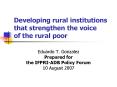 Developing rural institutions that strengthen the voice of the rural poor PowerPoint PPT Presentation