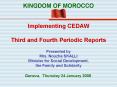 Implementing CEDAW Third and Fourth Periodic Reports PowerPoint PPT Presentation