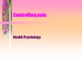 Controlling pain PowerPoint PPT Presentation