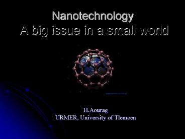 Nanotechnology A big issue in a small world