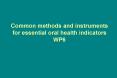 Common methods and instruments for essential oral health indicators WP6 PowerPoint PPT Presentation