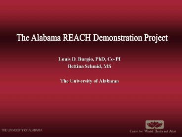 Louis D' Burgio, PhD, CoPI