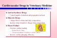 Antiarrhythmic Drugs PowerPoint PPT Presentation